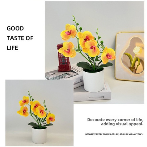 Vasi per orchidee - vasi,