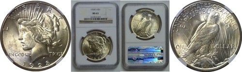 1928 dollaro della pace - dollaro, ngc