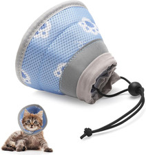 Collare Elisabettiano Gatto