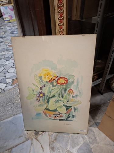 Acquerello natura morta - acquerello,
