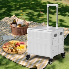 Carrello della spesa 65L