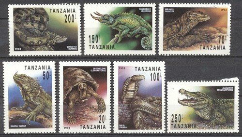 Tartaruga rettili - (178608), tartaruga,