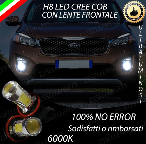 Coppia lampade fendinebbia - lampade, h8