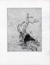 Music Zoran “RADICI 1973”