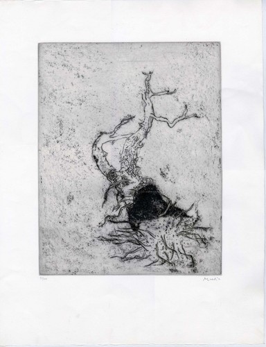Music zoran radici 1973 - zoran, 1973”