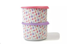 TUPPERWARE  TUTTO FRESCO Set 2