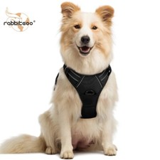 Rabbitgoo Imbracatura per Cani