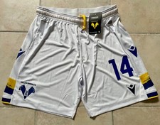 Ivan Ilić Ilic Hellas Verona