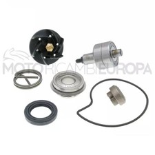 100110210 KIT REVISIONE POMPA