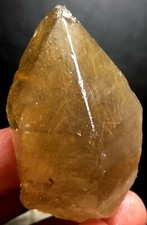 62g WOW! Esemplare punta