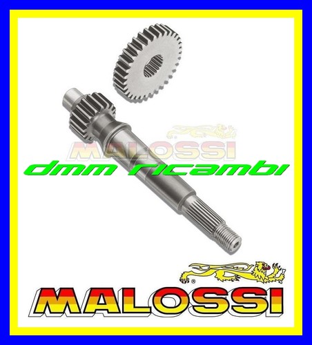 Rapporti allungati malossi - rapporti,