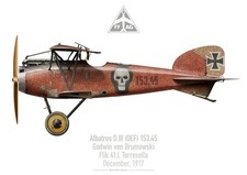 Print Albatros D.III, Godwin von Brumowski, Flik 41J, 1917 (by D. Douglass)