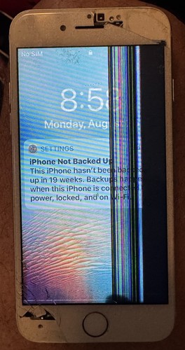 Rotto problemi apple iphone - problemi,