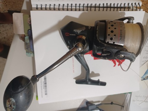 Penn sargus sg8000 - penn,
