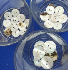 10 pezzi vera madreperla