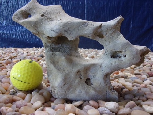 Texas holey rock - holey,