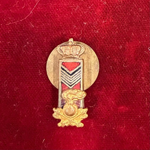 2791 distintivo abito civile - 2791,