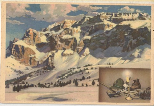 Cartolina militare dolomiti - cartolina,