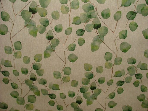 Eucalipto albero foglia lino - albero,