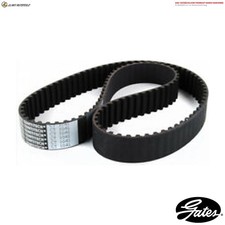 CINGHIA DENTATA 1310RM PER