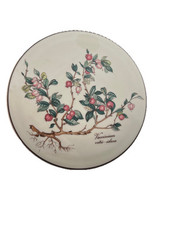 Portagioie porcellana Villeroy