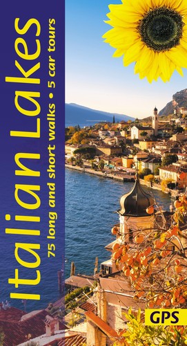 Italian lakes sunflower - italian,