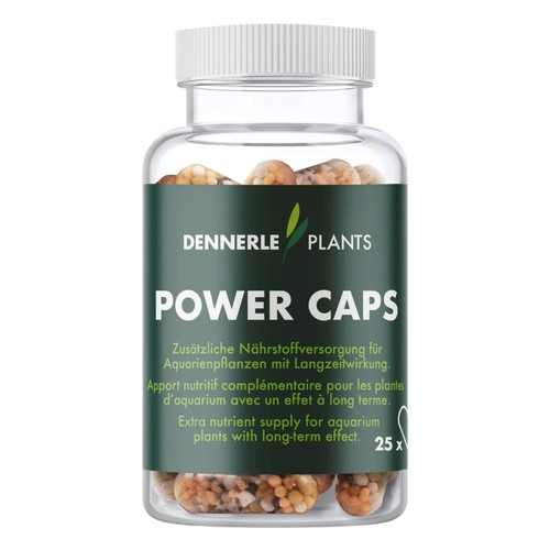 Dennerle power caps capsule - caps, 25