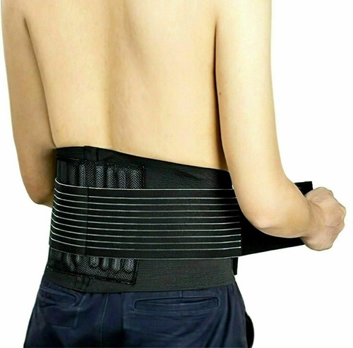 Fascia elastica lombare - elastica,