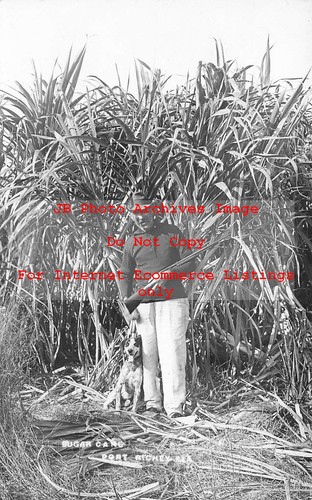 Port richey florida - richey,,