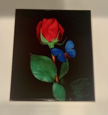 Blue Butterfly Rose Ceramic