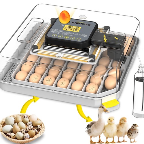 Incubators for hatching - for,