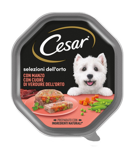 Alimento umido per cani - alimento,