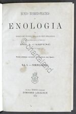 A. Carpenè - Sunto teorico