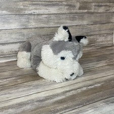 Siberian Husky Cane Cucciolo