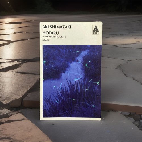 French literary fiction - literary,