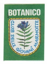 IL CLUB DELLE GIOVANI MARMOTTE