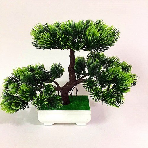 Bonsai pino plastica 26 - pino,