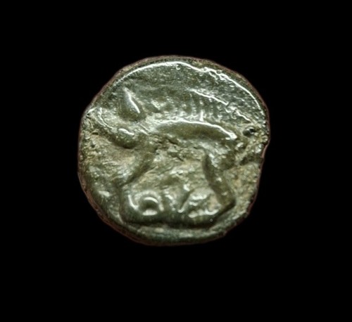 Leuchi pettegolezzo con - leuchi,
