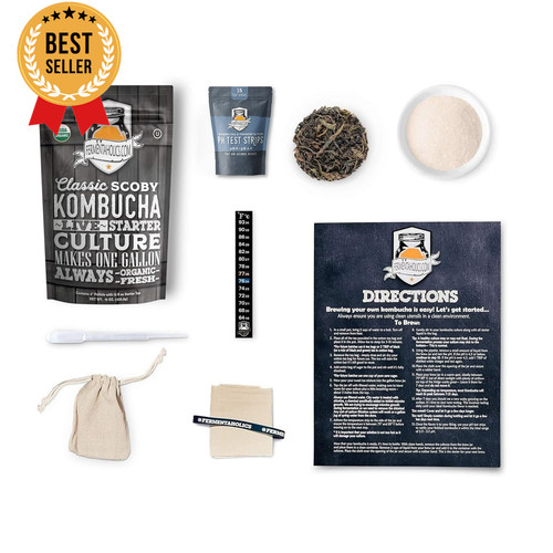 Kombucha scoby starter kit - scoby,