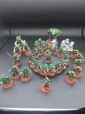  Primaris Salamanders Army