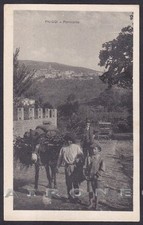 FROSINONE FIUGGI 25 DONKEY