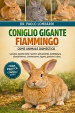 Coniglio Gigante Fiammingo