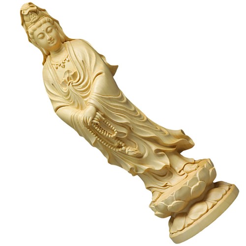 Arredamento della stanza - ,