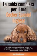 La Guida Completa per Il Tuo