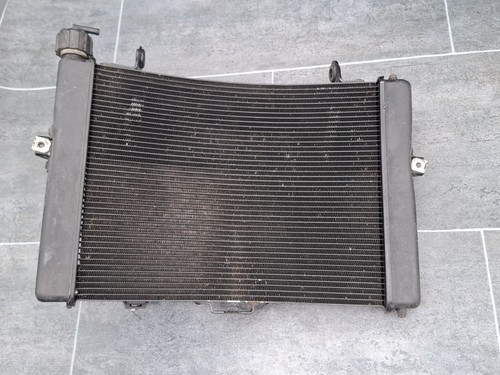 Radiatore ktm 1290 - (radiatore),