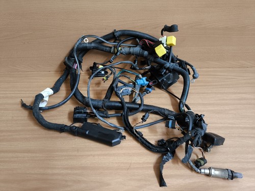 Cablaggio iniezione motore - cablaggio,