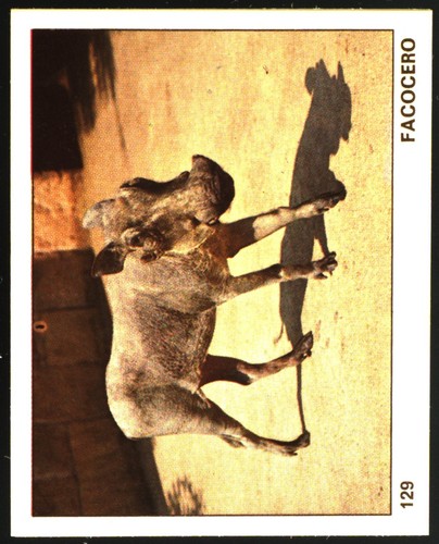 Mondo degli animali - mondo,