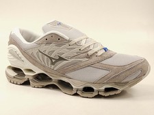 Mizuno wave prophecy - mizuno,