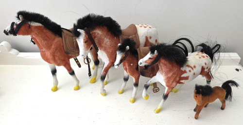 Lotto appaloosa cavalli - appaloosa,