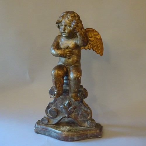 Antico putto legno - putto, in